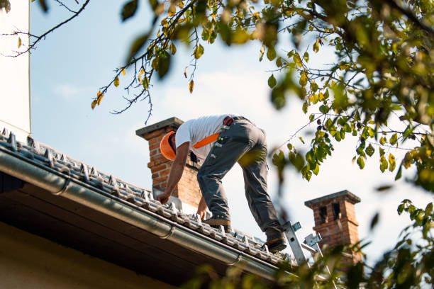 Best Roof Waterproofing Services  in Huntley, IL