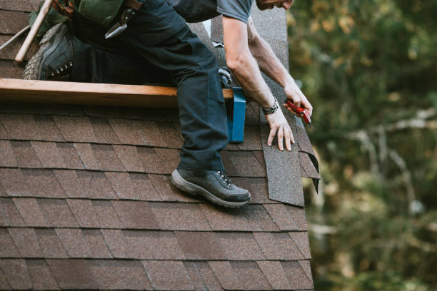 Best Roof Gutter Cleaning  in Huntley, IL